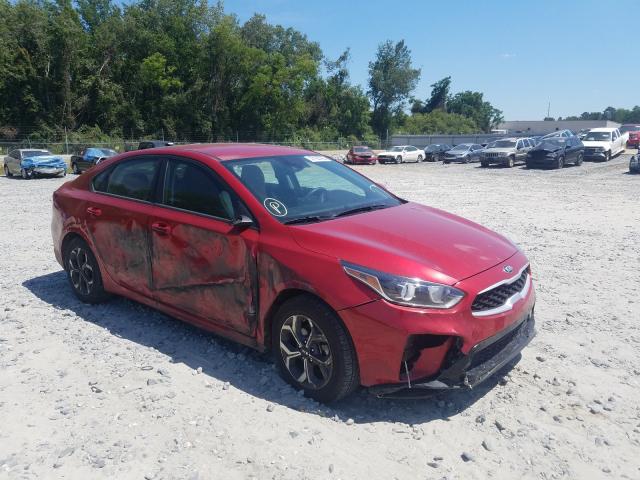 KIA FORTE FE 2019 3kpf24ad8ke095611