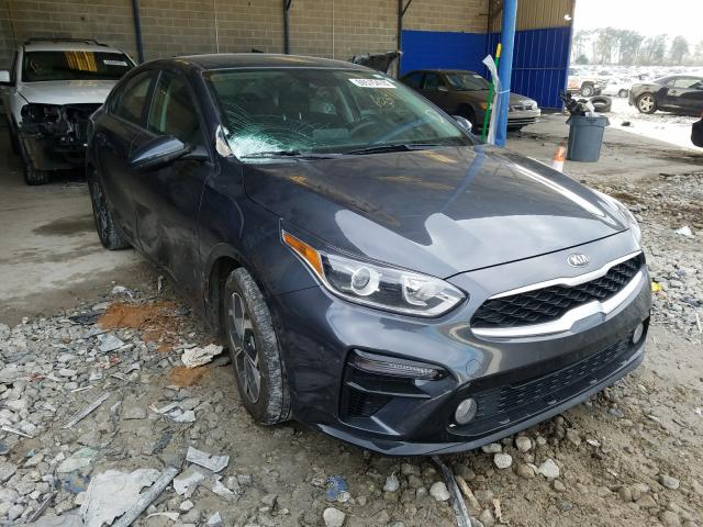 KIA FORTE FE 2019 3kpf24ad8ke097441