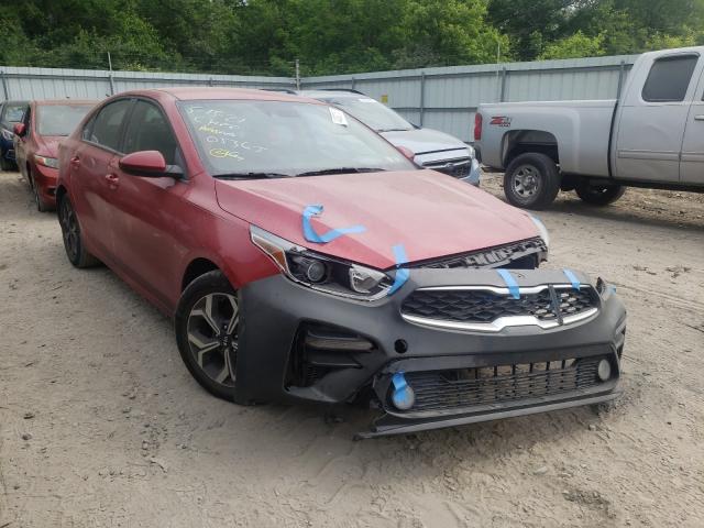 KIA FORTE FE 2019 3kpf24ad8ke099335