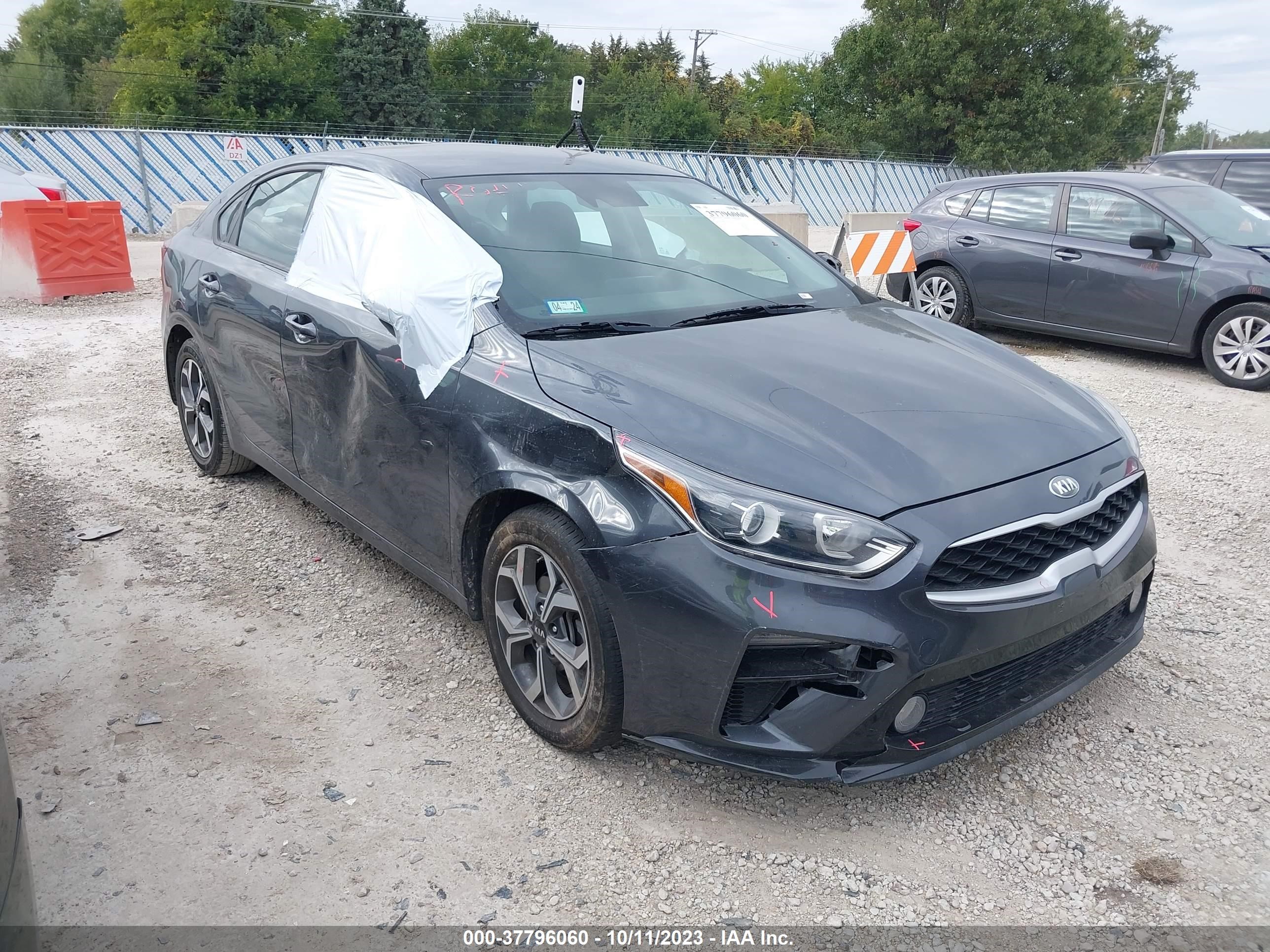 KIA FORTE 2019 3kpf24ad8ke100354