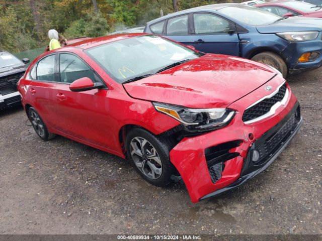 KIA FORTE 2019 3kpf24ad8ke105991