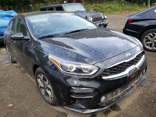 KIA FORTE FE 2019 3kpf24ad8ke107188