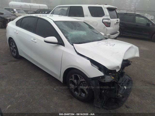 KIA FORTE 2019 3kpf24ad8ke108342