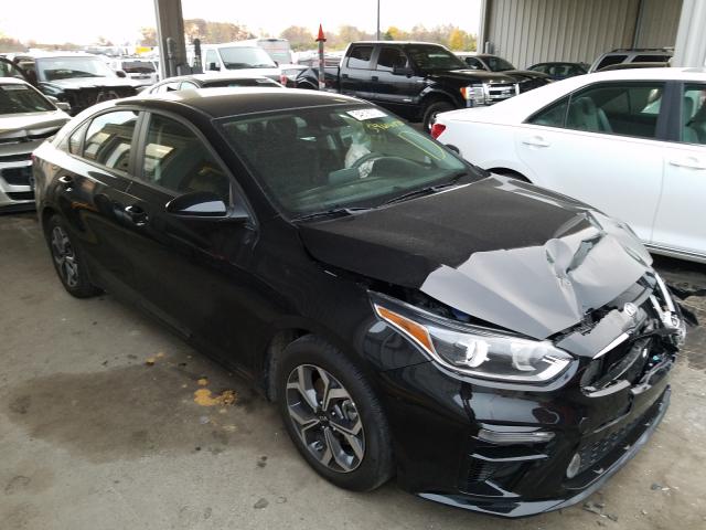 KIA FORTE FE 2019 3kpf24ad8ke120328