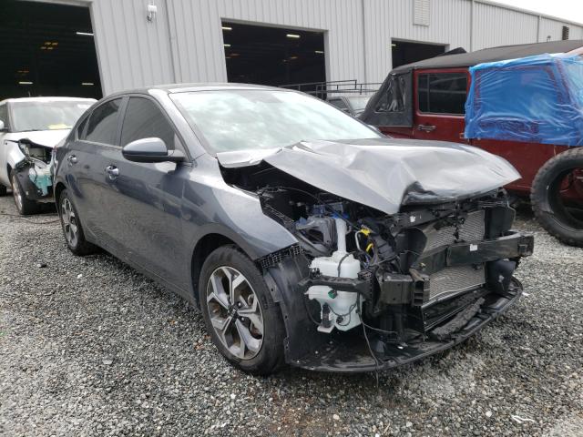 KIA FORTE FE 2019 3kpf24ad8ke121639