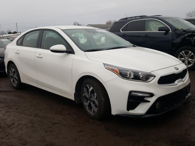 KIA FORTE FE 2019 3kpf24ad8ke125545