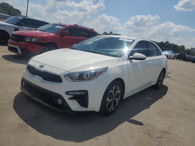 KIA FORTE 2019 3kpf24ad8ke125660