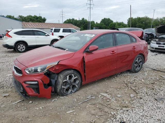 KIA FORTE 2019 3kpf24ad8ke136075