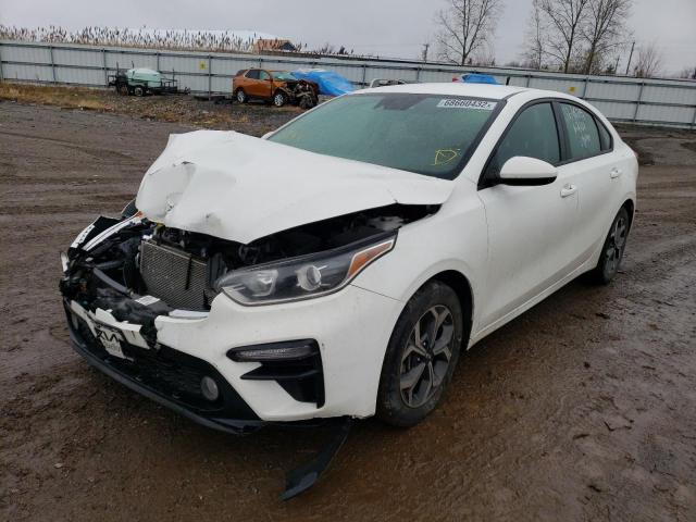 KIA FORTE FE 2019 3kpf24ad8ke136349