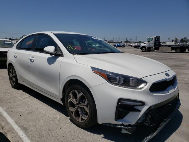 KIA FORTE FE 2019 3kpf24ad8ke138022