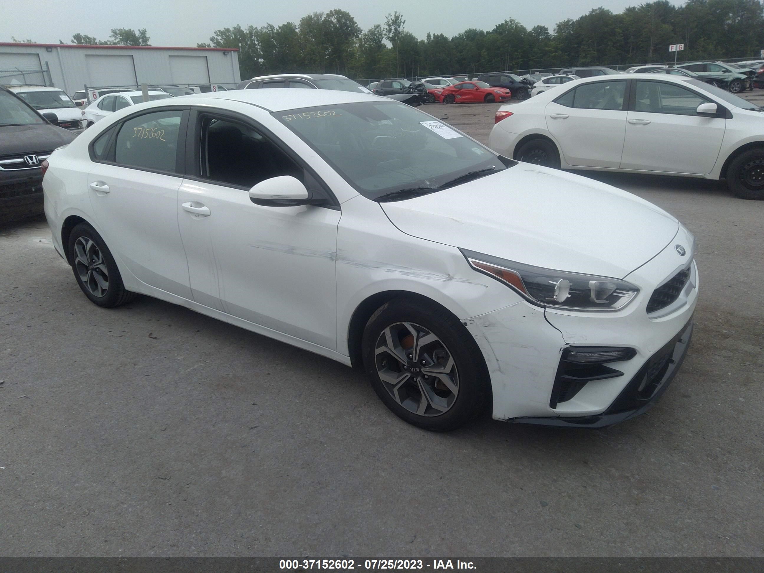 KIA FORTE 2020 3kpf24ad8le145408