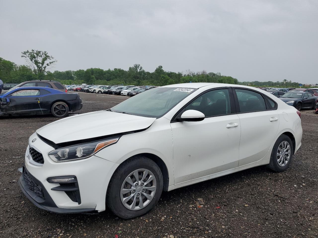 KIA FORTE 2019 3kpf24ad9ke005737