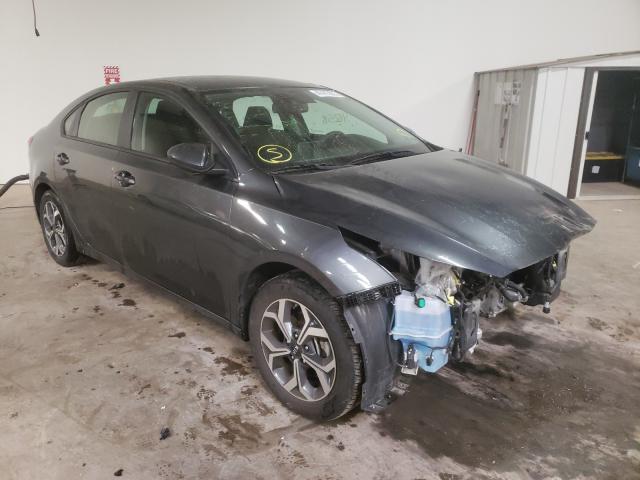 KIA FORTE FE 2019 3kpf24ad9ke007861