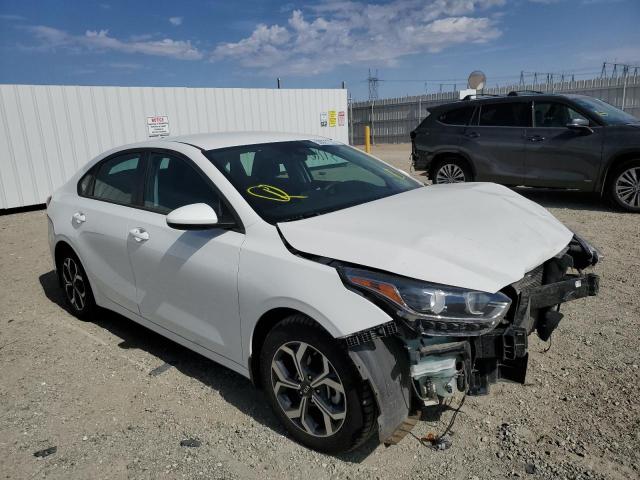 KIA FORTE FE 2019 3kpf24ad9ke011375