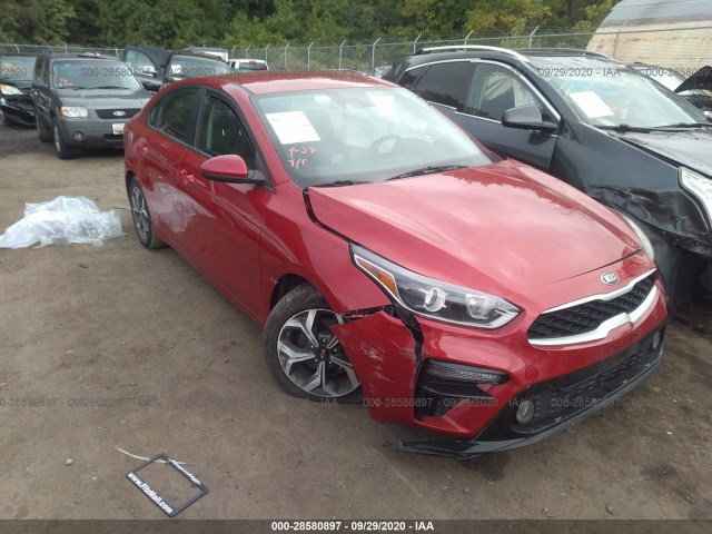 KIA FORTE 2019 3kpf24ad9ke032436