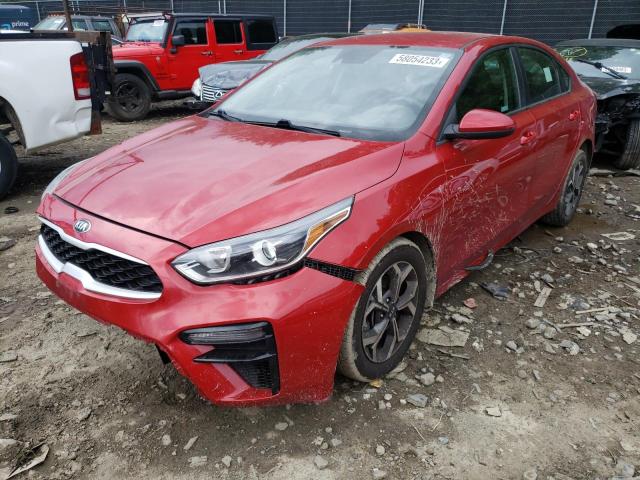 KIA FORTE FE 2019 3kpf24ad9ke045493