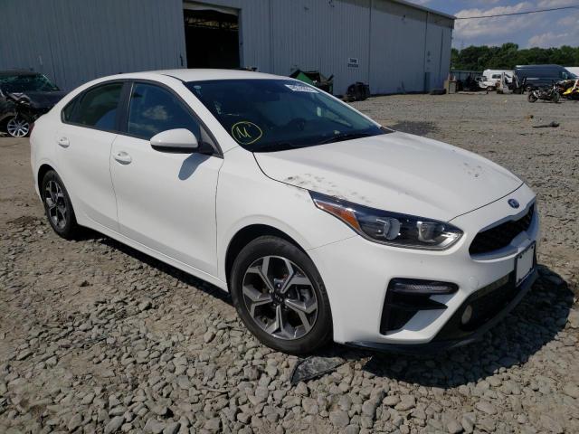 KIA FORTE FE 2019 3kpf24ad9ke045588