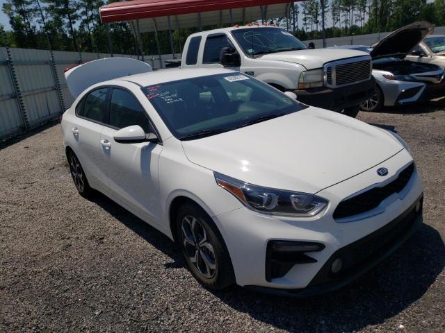 KIA FORTE FE 2019 3kpf24ad9ke048667