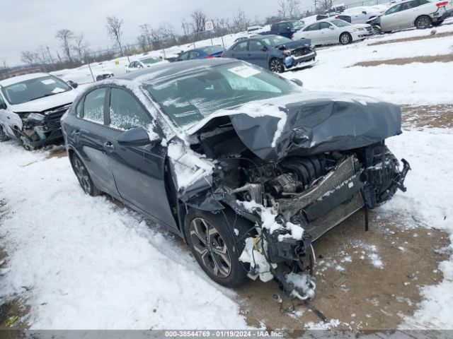 KIA FORTE 2019 3kpf24ad9ke058115