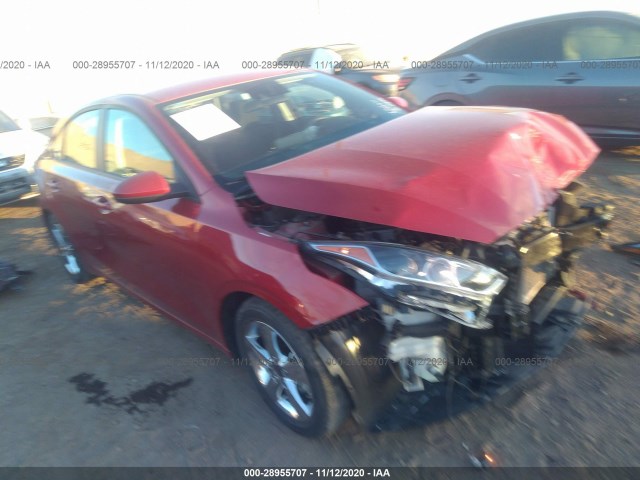 KIA FORTE 2019 3kpf24ad9ke059362