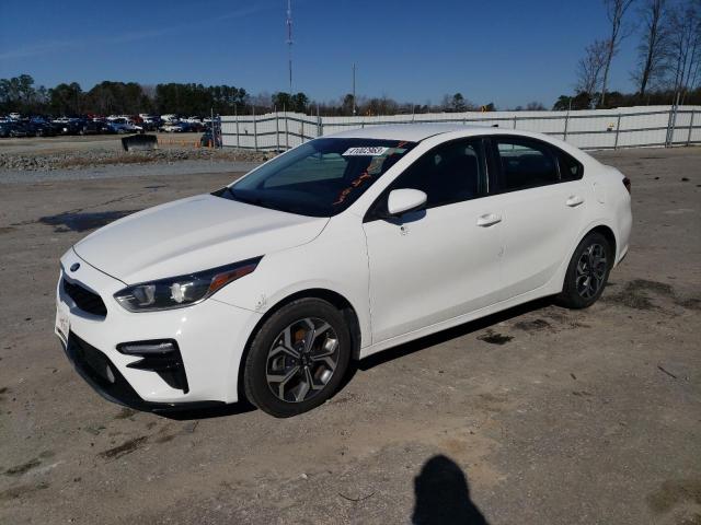 KIA FORTE FE 2019 3kpf24ad9ke059796