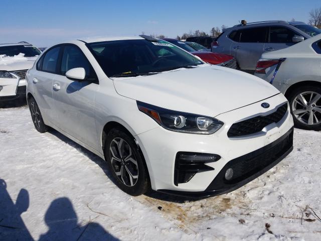 KIA FORTE FE 2019 3kpf24ad9ke065758