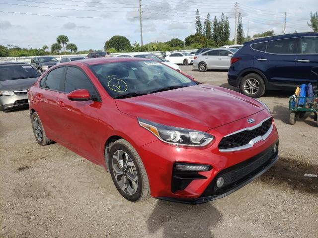 KIA FORTE FE 2019 3kpf24ad9ke066599