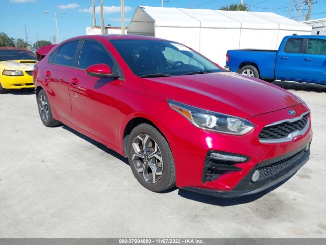 KIA FORTE 2019 3kpf24ad9ke066702