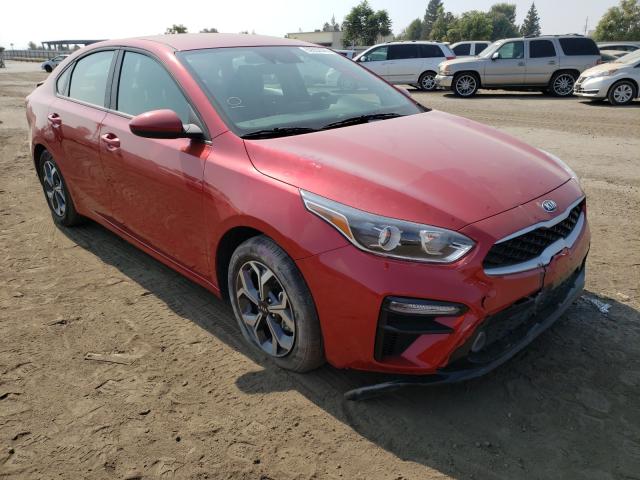 KIA FORTE FE 2019 3kpf24ad9ke067526