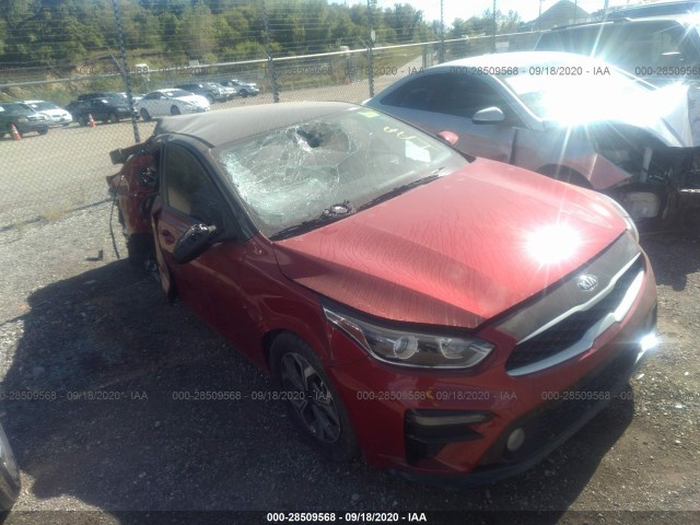 KIA FORTE 2019 3kpf24ad9ke074542