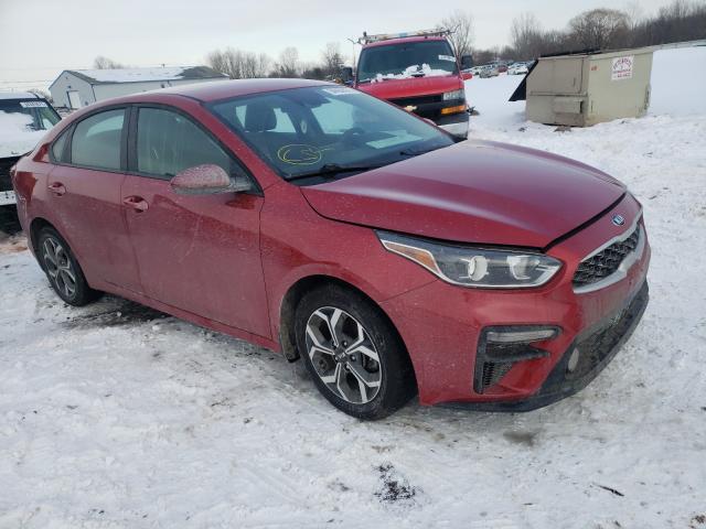 KIA FORTE FE 2019 3kpf24ad9ke076081