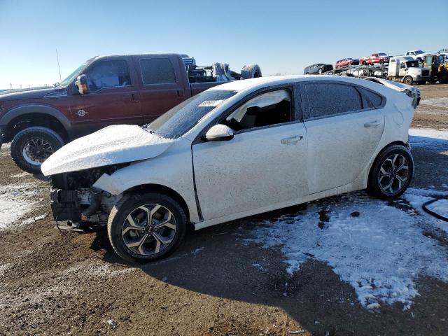 KIA FORTE FE 2019 3kpf24ad9ke077490