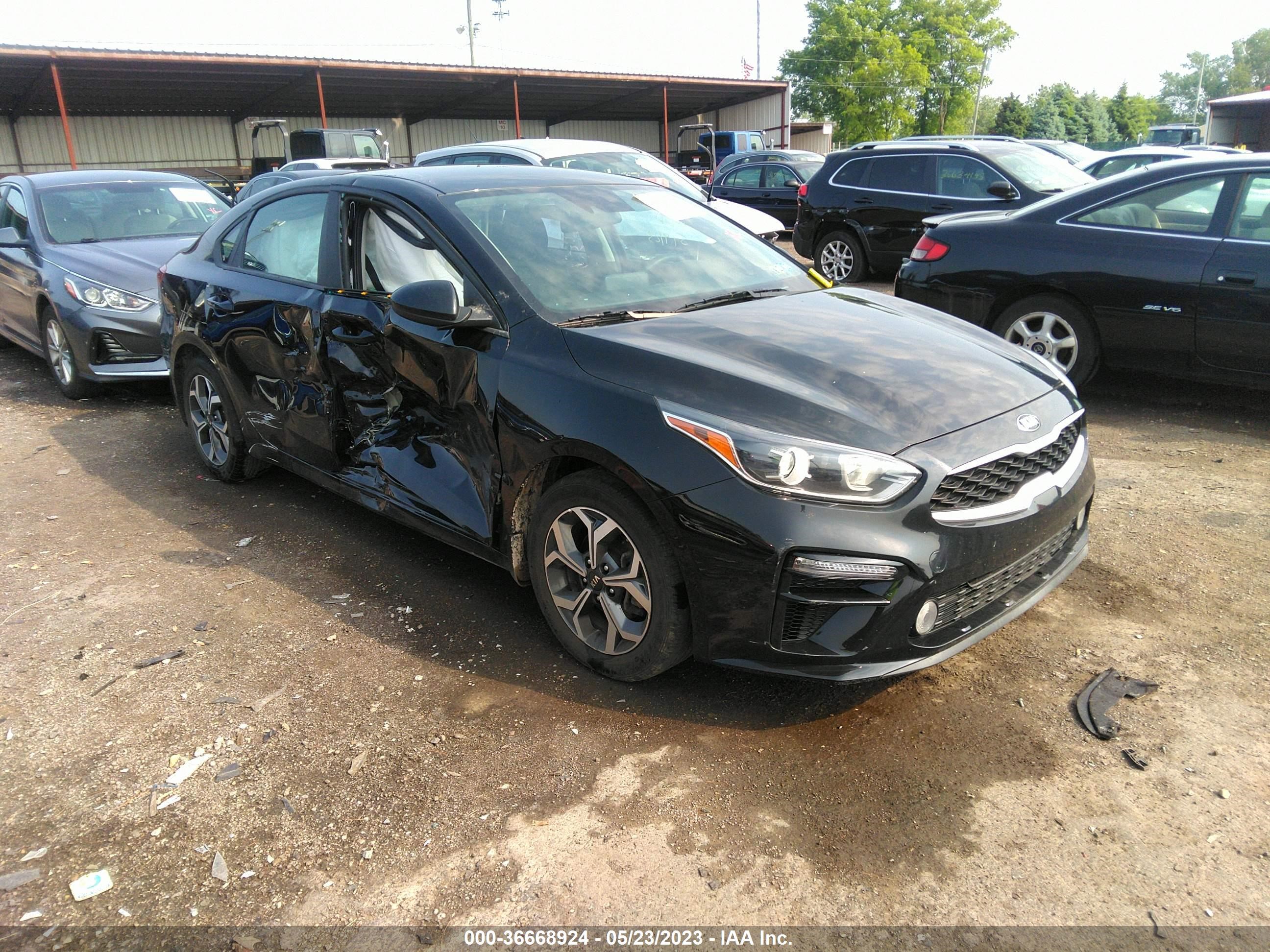 KIA FORTE 2019 3kpf24ad9ke085685