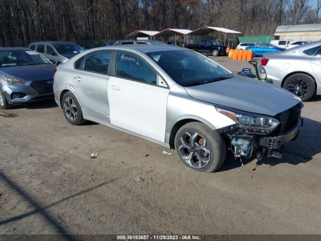 KIA FORTE 2019 3kpf24ad9ke086819