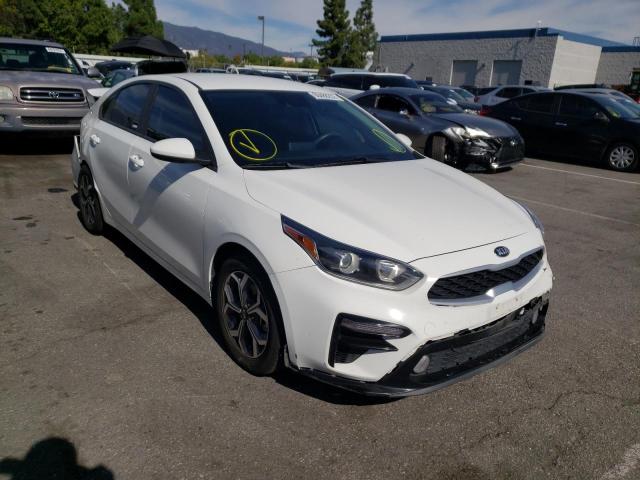 KIA FORTE FE 2019 3kpf24ad9ke109631