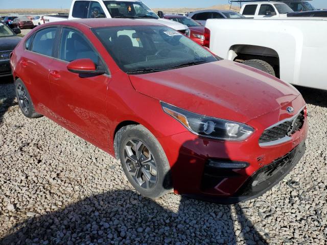 KIA FORTE FE 2019 3kpf24ad9ke114697