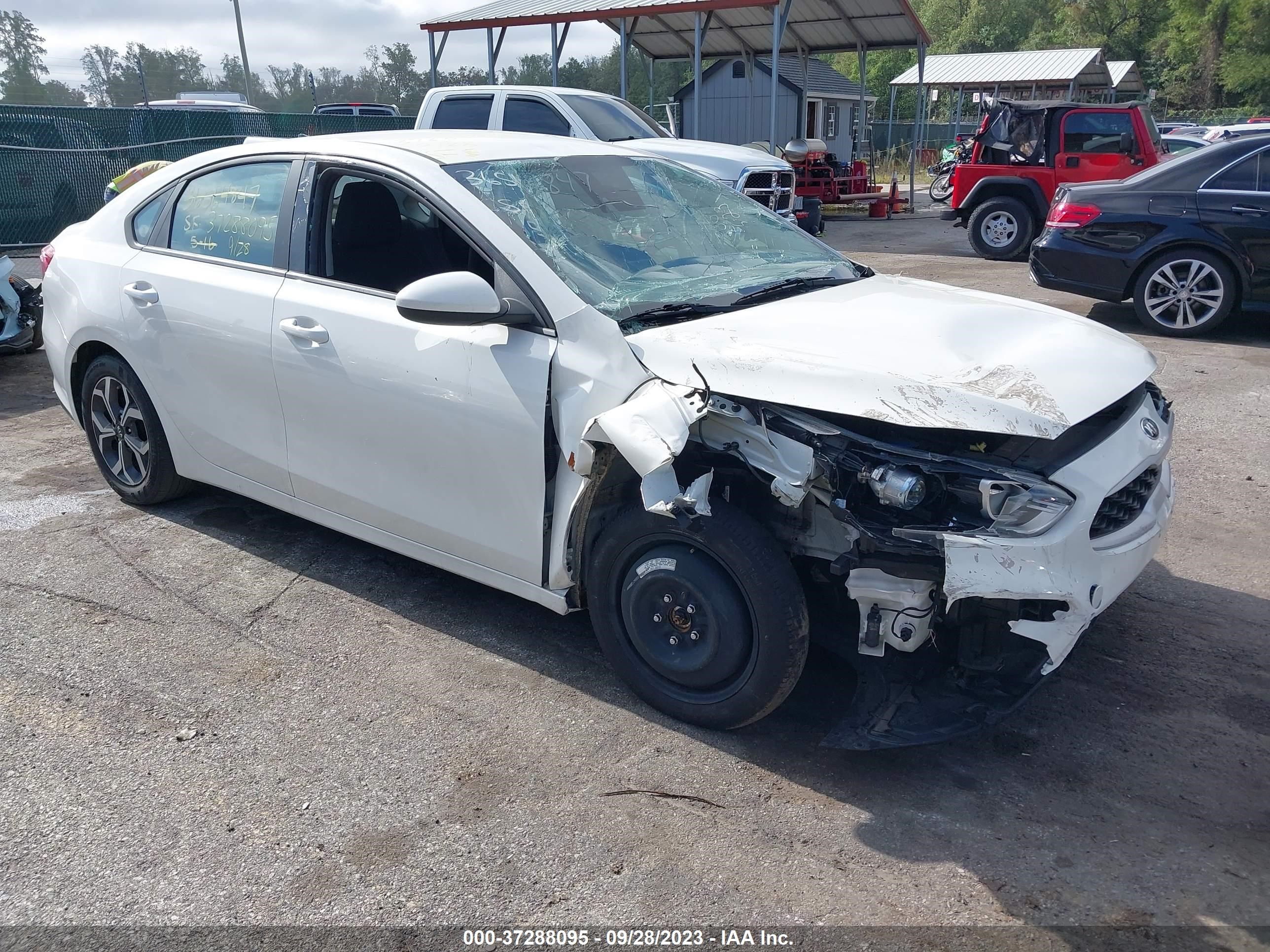 KIA FORTE 2019 3kpf24ad9ke121486