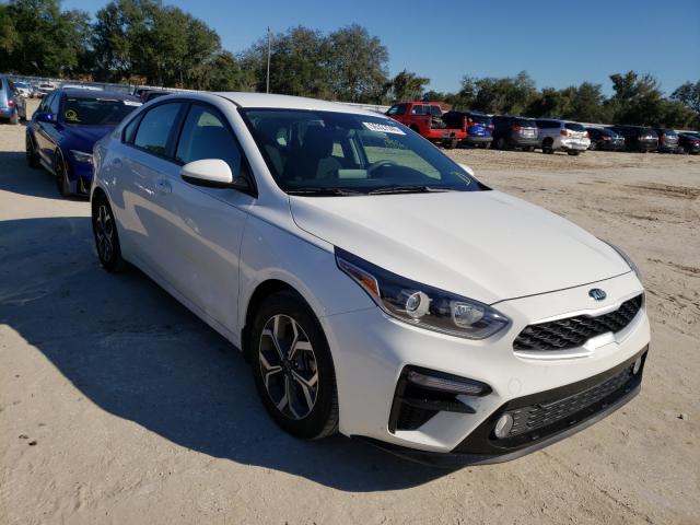 KIA FORTE FE 2019 3kpf24ad9ke127272