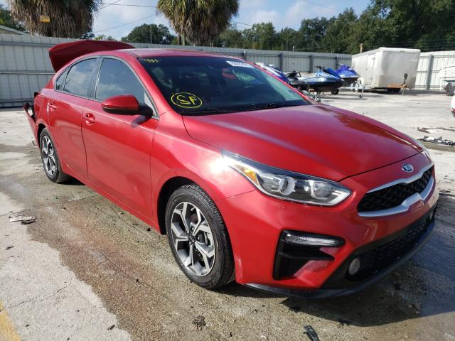 KIA FORTE FE 2019 3kpf24ad9ke129734