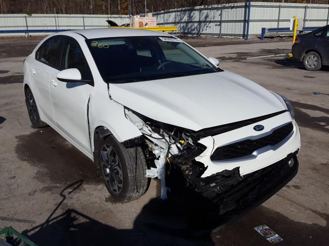 KIA FORTE FE 2019 3kpf24ad9ke134237