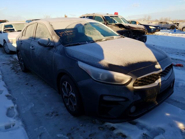 KIA FORTE FE 2019 3kpf24ad9ke135503