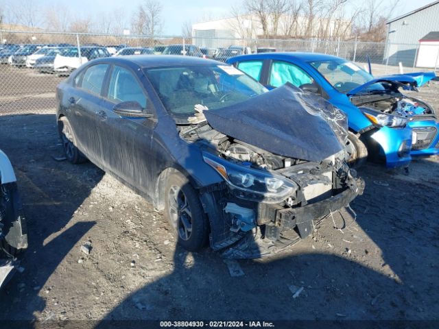 KIA FORTE 2019 3kpf24adxke011126