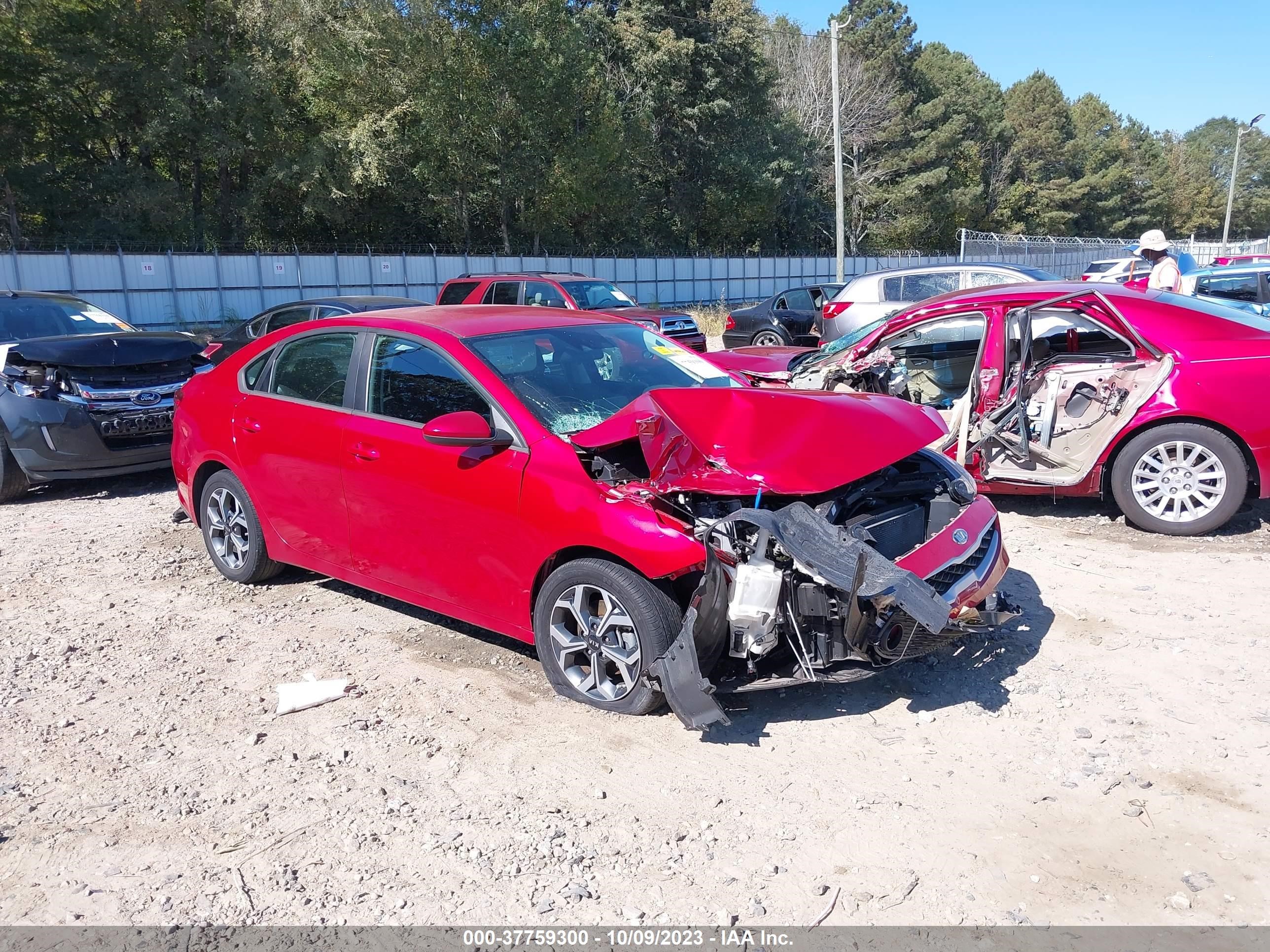 KIA FORTE 2019 3kpf24adxke013331