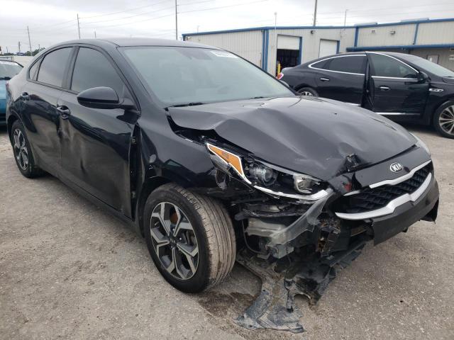 KIA FORTE FE 2019 3kpf24adxke013975