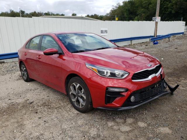 KIA FORTE FE 2019 3kpf24adxke022515