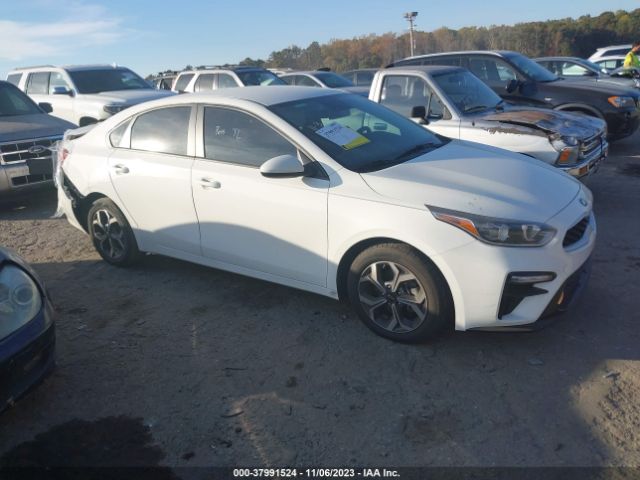 KIA FORTE 2019 3kpf24adxke022627