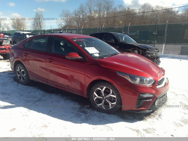 KIA FORTE 2019 3kpf24adxke029304