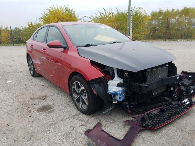 KIA FORTE FE 2019 3kpf24adxke032428