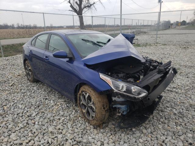 KIA FORTE FE 2019 3kpf24adxke038391