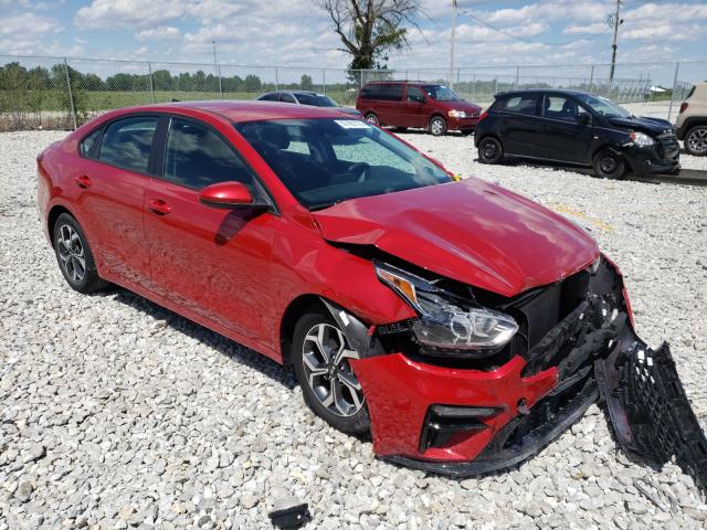 KIA FORTE FE 2019 3kpf24adxke039041